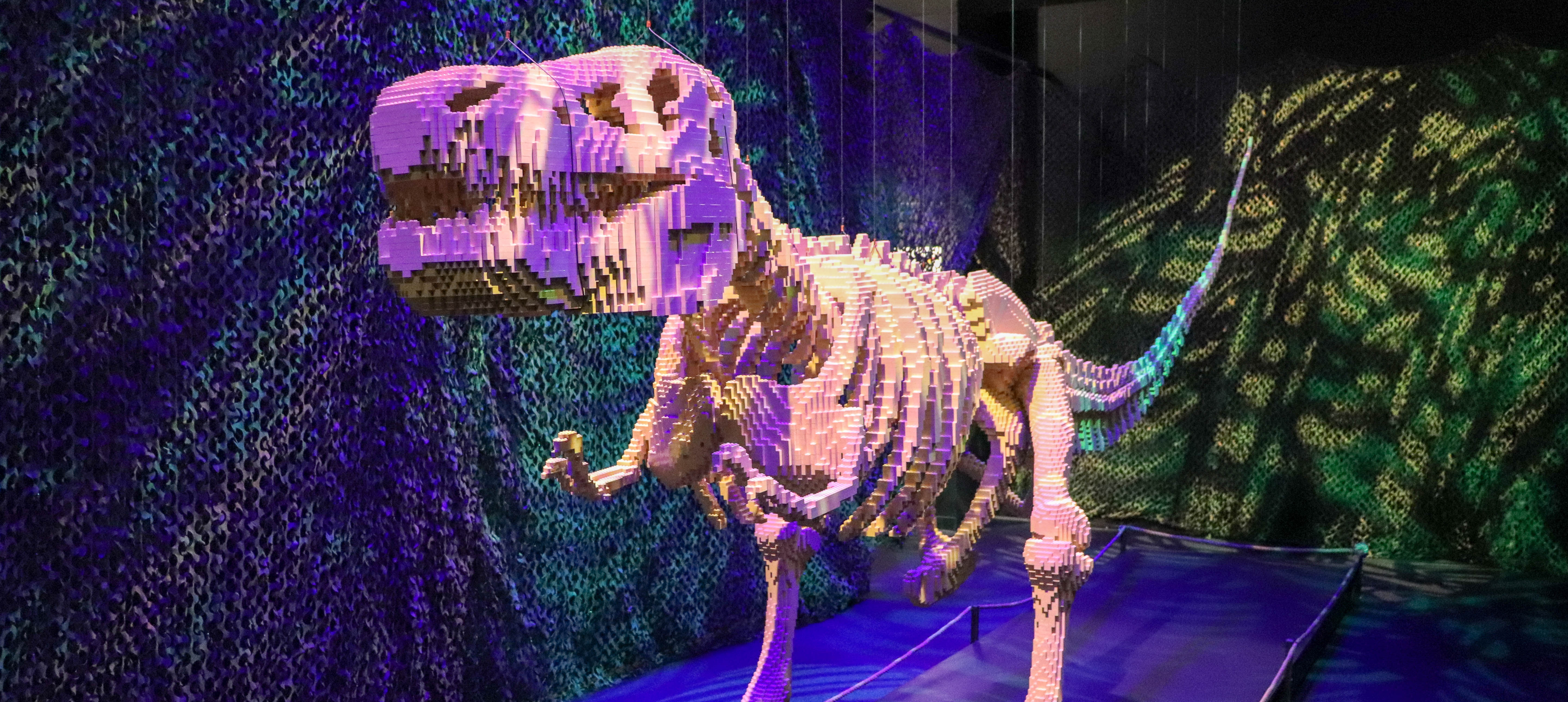 perot museum lego
