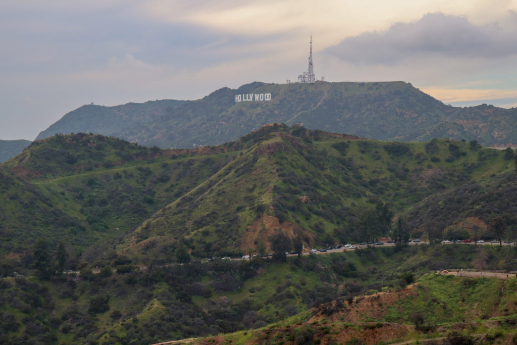 picture of hollywood sign 