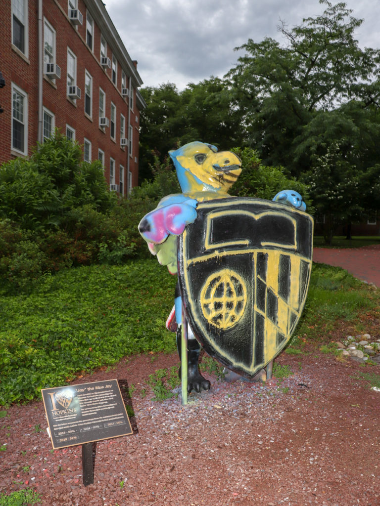 picture of Johns Hopkins University campus art 